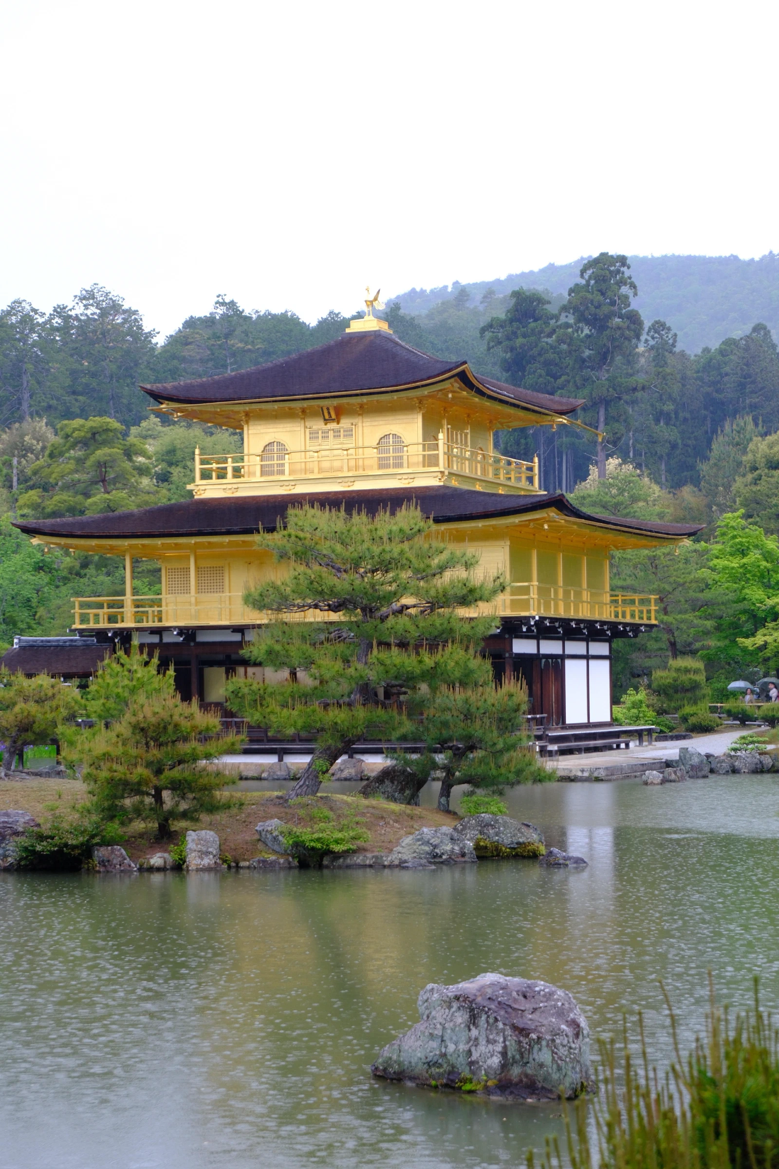 雨中的京都金阁寺与池塘庭院景观